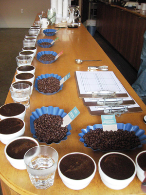 Cupping at Stumptown