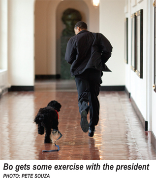 Bo and President Obama