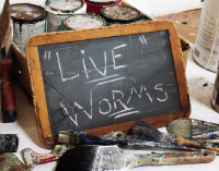 Live Worms
